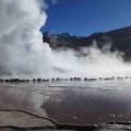 Quel est le meilleur moment de la journée pour observer les geysers del Tatio?